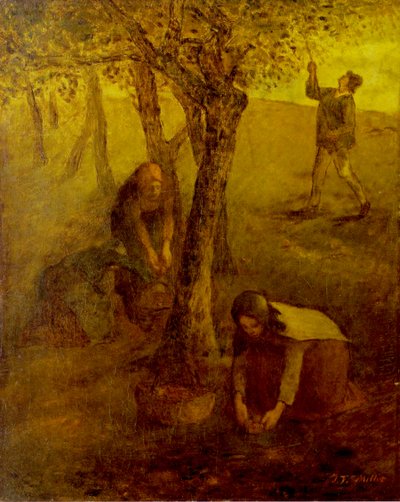 Gathering Apples by Jean Francois I Millet